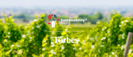 Valdo riconosciuta tra le Prime 100 Aziende Sostenibili Italiane da Forbes